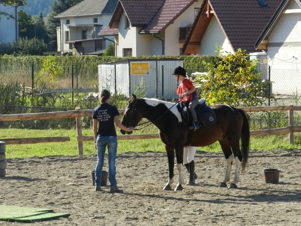 Babie Lato 2015